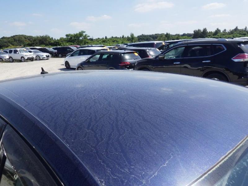 Volkswagen Golf 1.4 TSI BlueMotion Tech Match Hatchback 5dr Petrol DSG Euro 6 (s/s) (125 ps)