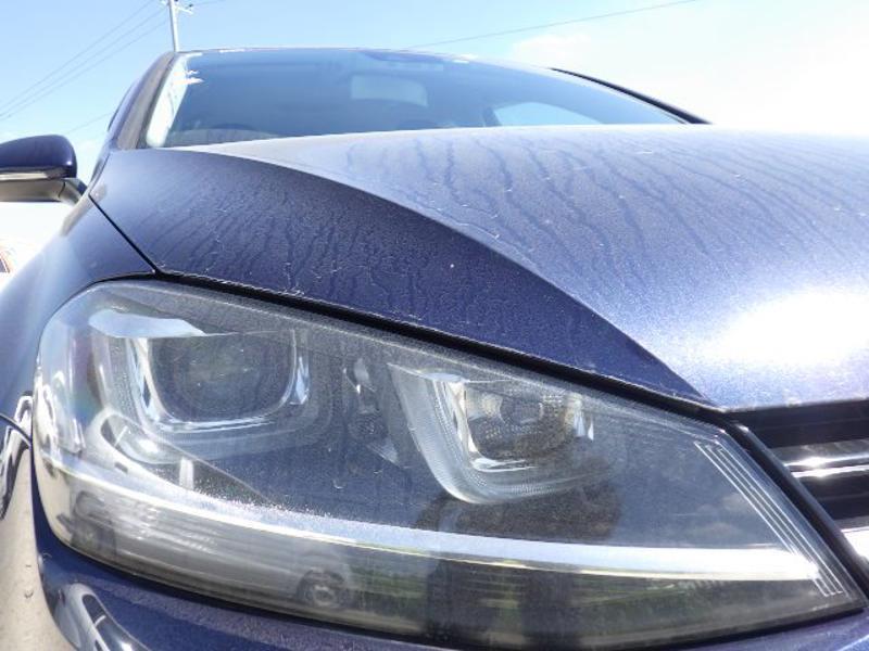 Volkswagen Golf 1.4 TSI BlueMotion Tech Match Hatchback 5dr Petrol DSG Euro 6 (s/s) (125 ps)